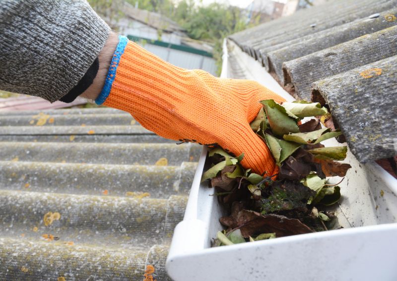 Roof Gutter Cleaning in Baltimore, MD