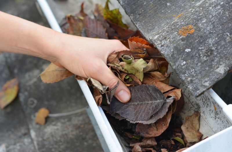 Business Gutter Cleaning in Denver, CO