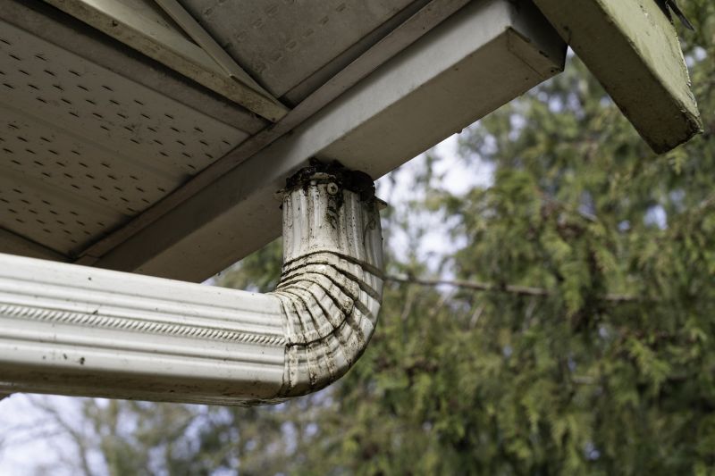 Downspout Cleaning in Annapolis, MD
