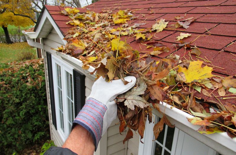 Downspout Cleaning in Westchester County, NY