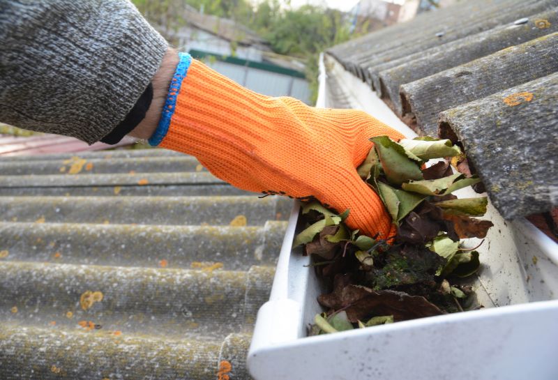Gutter Leaf Clearing in Long Island, NY