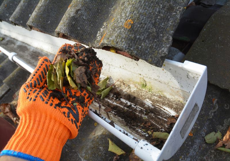 Gutter Maintenance in Long Island, NY