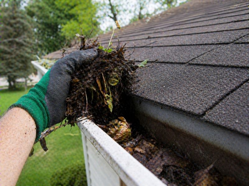 Gutter Pine Needle Removal in Westchester County, NY