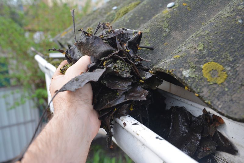Rain Gutter Clearing in Fredericksburg, VA