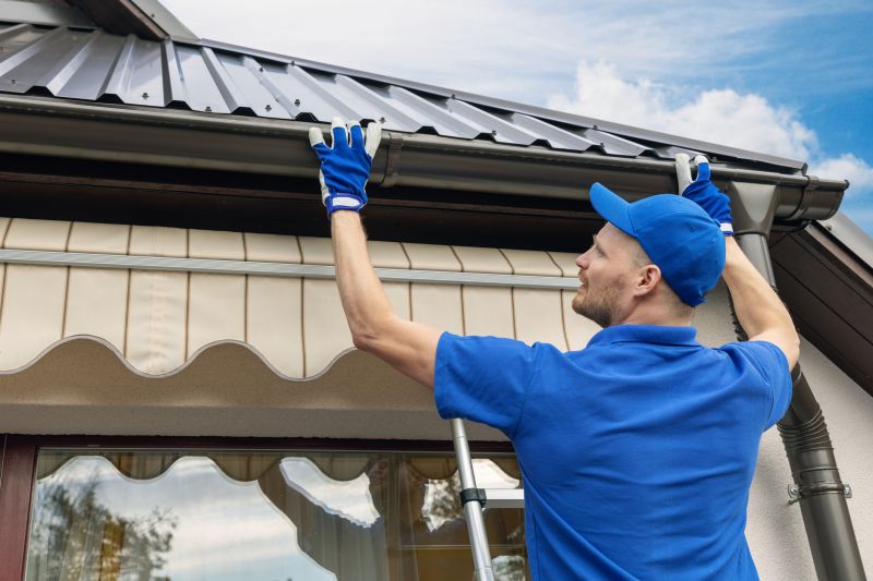 Roof Gutter Cleaning in Fredericksburg, VA