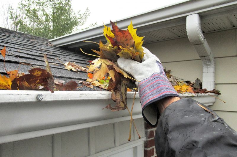 Roof Gutter Cleaning in Rochester, NY